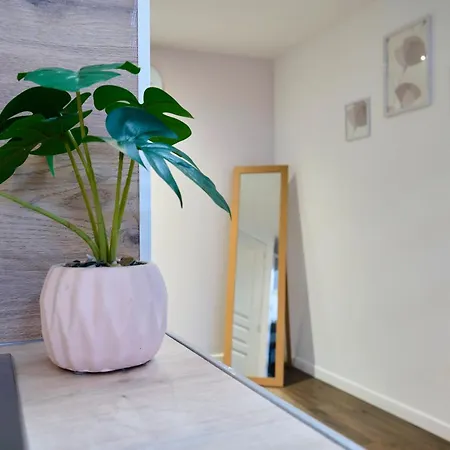 Ng Prestige - Nain - Privatif - Jacuzzi - Netflix - Projecteur