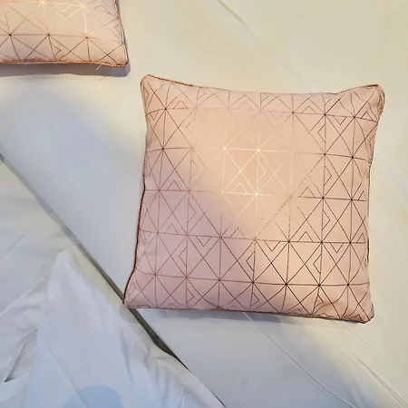 Ng Prestige - Nain - Privatif - Jacuzzi - Netflix - Projecteur * Roubaix