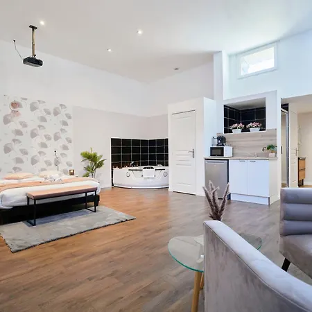 Ng Prestige - Nain - Privatif - Jacuzzi - Netflix - Projecteur Lejlighed *