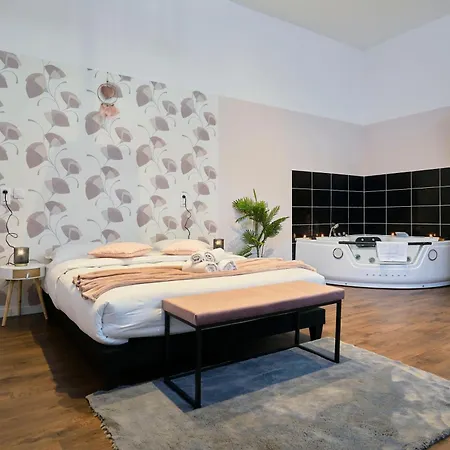 Ng Prestige - Nain - Privatif - Jacuzzi - Netflix - Projecteur