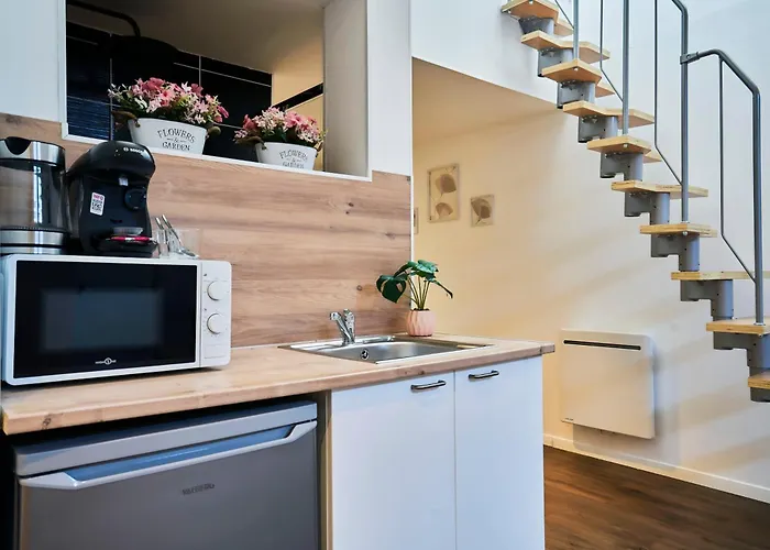 Ng Prestige - Nain - Privatif - Jacuzzi - Netflix - Projecteur Roubaix