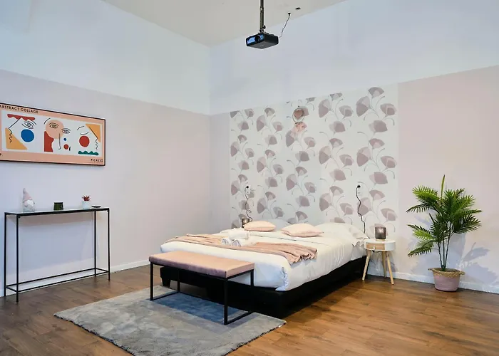 Ng Prestige - Nain - Privatif - Jacuzzi - Netflix - Projecteur Apartment Roubaix